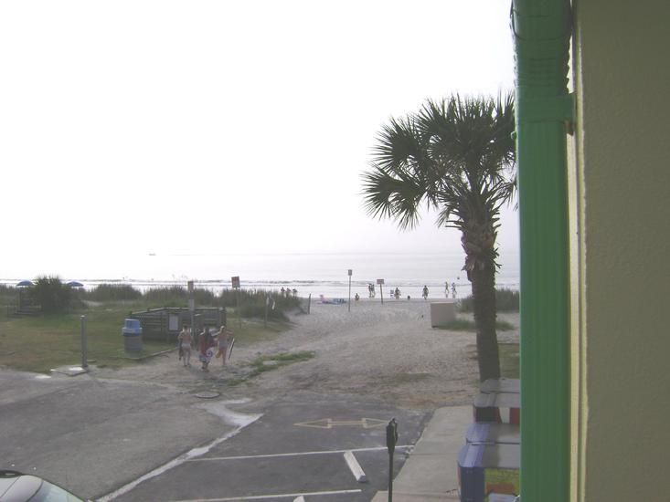 Sea Hawk Oceanfront Motel Myrtle Beach Alam Semulajadi gambar